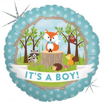 V- 687 C Waldtiere  Boy